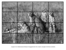 Puzzle-Gepard-2.pdf